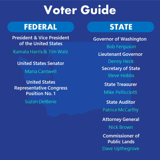 VoterGuide1.png